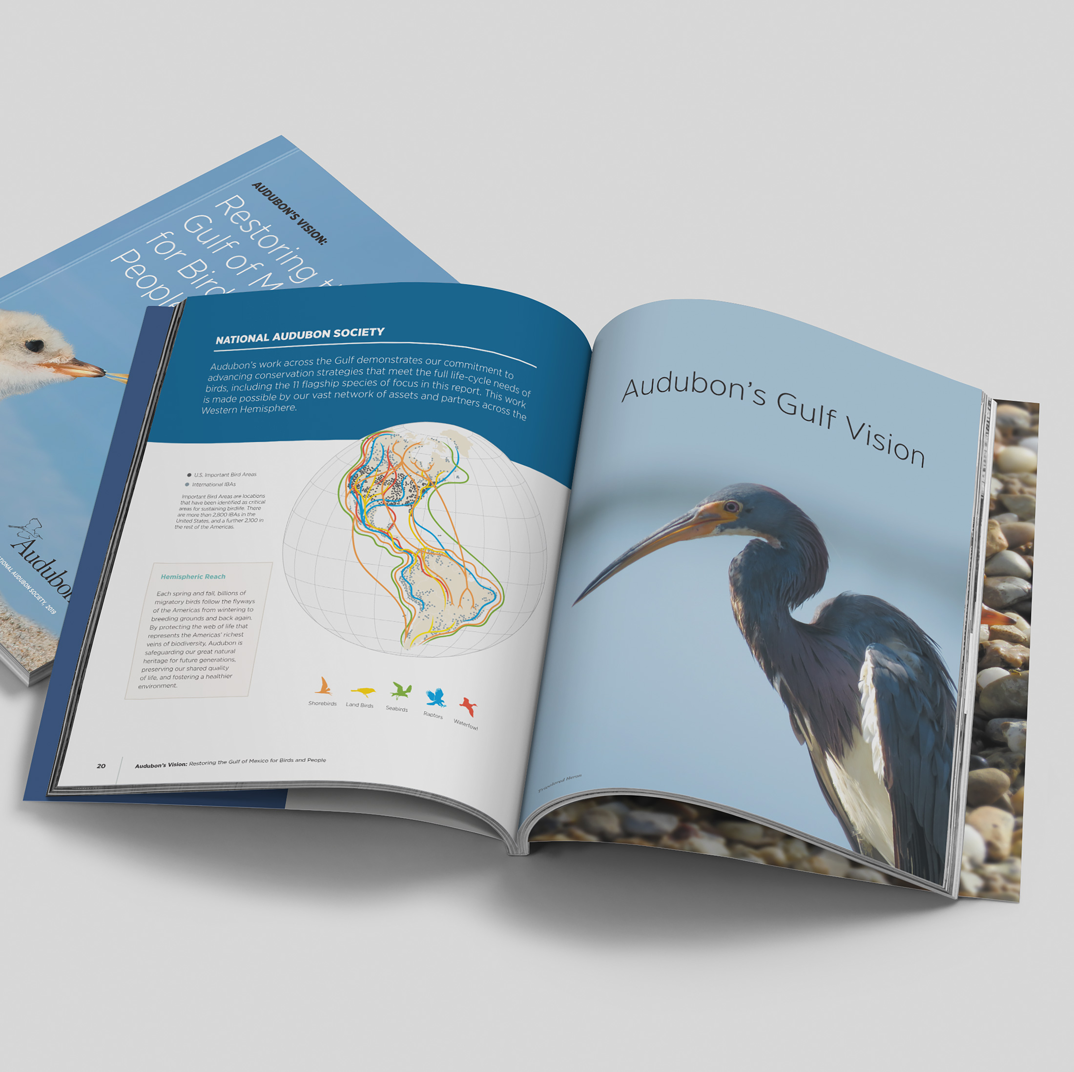 Audubon Gulf Restoration Report