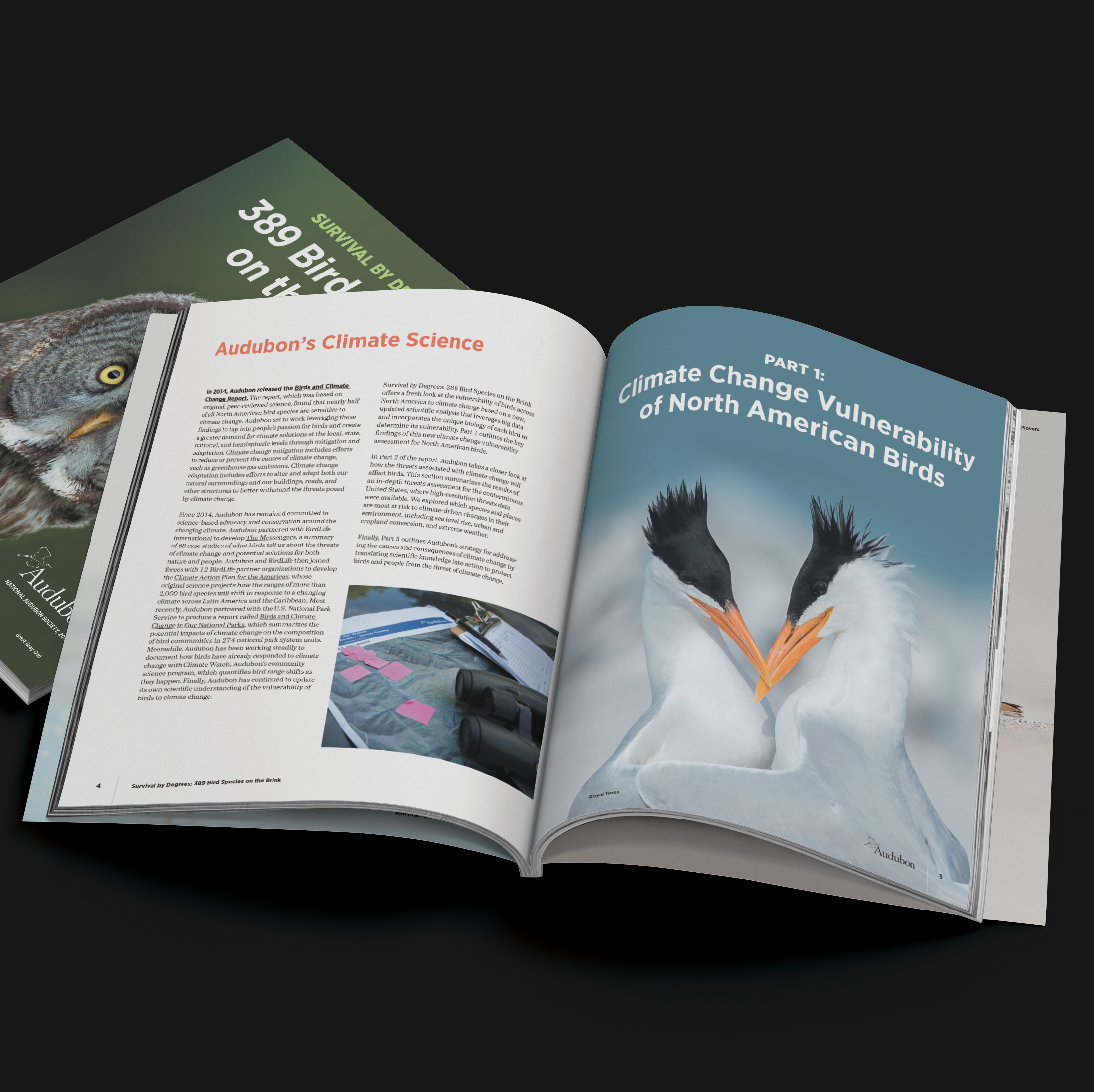 Audubon Birds and Climate Report