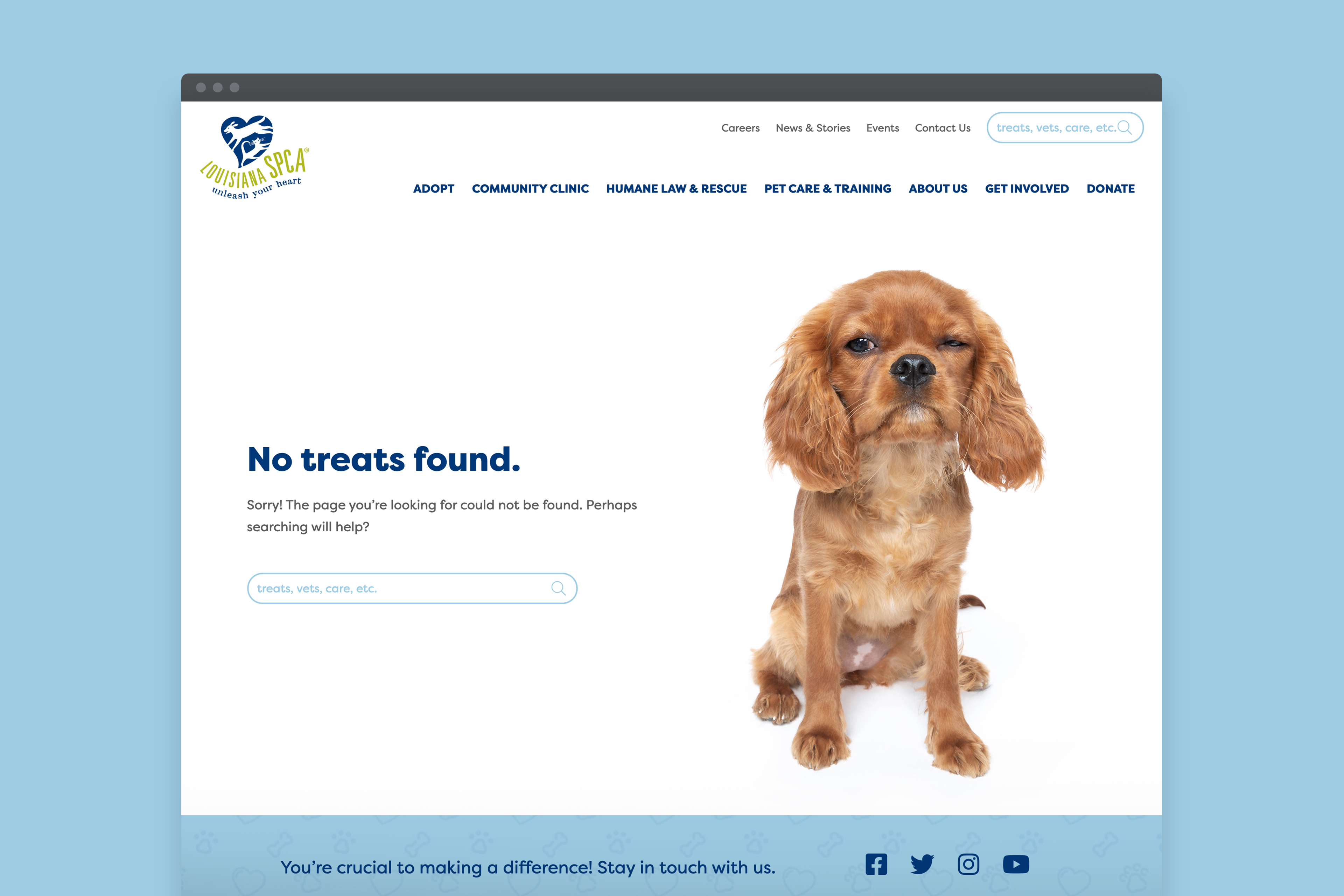 Louisiana SPCA Website