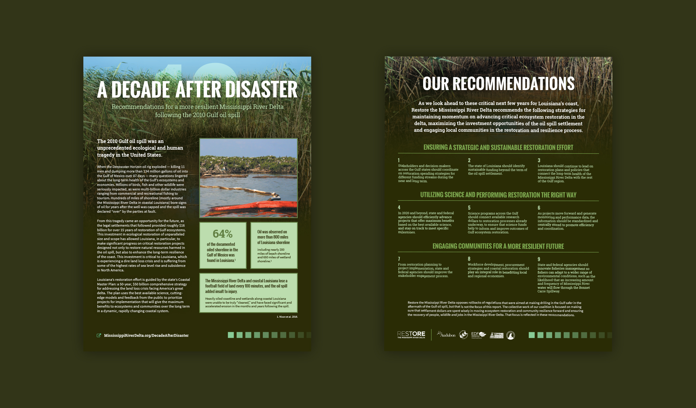 Restore the Mississippi River Delta BP10 Report